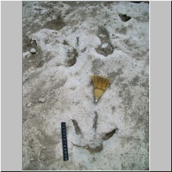 100_0118 (2009-24-07)m.JPG